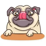 Sticker 9