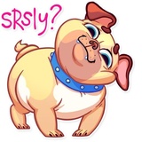Pugford the Pug WhatsApp Sticker #13