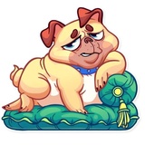 Pugford the Pug WhatsApp Sticker #19