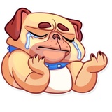 Pugford the Pug WhatsApp Sticker #22