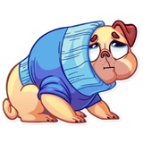 Pugford the Pug WhatsApp Sticker #25
