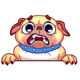 Pugford the Pug WhatsApp Sticker #4