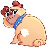 Pugford the Pug WhatsApp Sticker #7