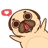 Puglie Pug