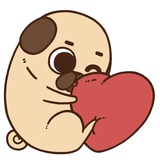 Puglie Pug WhatsApp Sticker #12