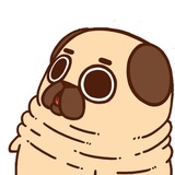 Puglie Pug WhatsApp Sticker #20