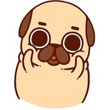 Puglie Pug WhatsApp Sticker #22