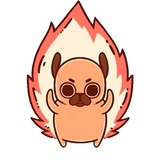 Puglie Pug WhatsApp Sticker #24