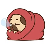 Puglie Pug WhatsApp Sticker #3