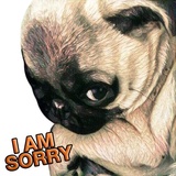 Pugsters WhatsApp Sticker #11