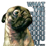 Pugsters WhatsApp Sticker #13