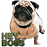 Pugsters WhatsApp Sticker #14