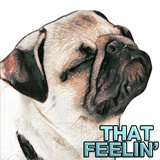 Pugsters WhatsApp Sticker #15