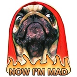 Pugsters WhatsApp Sticker #17