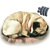 Sticker 21