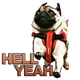 Pugsters WhatsApp Sticker #23