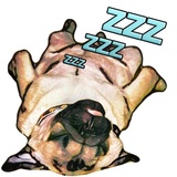 Pugsters WhatsApp Sticker #25