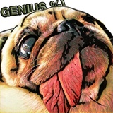 Pugsters WhatsApp Sticker #26