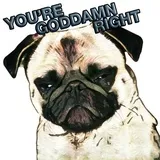 Sticker 31