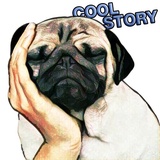 Pugsters WhatsApp Sticker #4