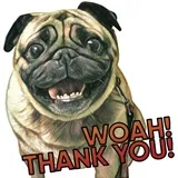 Sticker 41