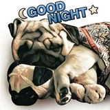 Pugsters WhatsApp Sticker #5