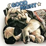 Sticker 5