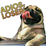 Pugsters WhatsApp Sticker #8