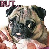Pugsters WhatsApp Sticker #9