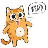 Puppy Kitte WhatsApp Sticker #14