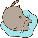 Pusheen emoji WhatsApp Sticker #20