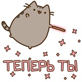 Pusheen emoji WhatsApp Sticker #26