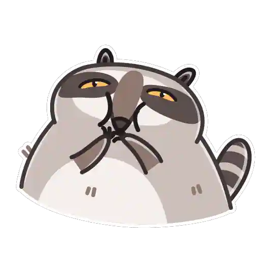Raccoon