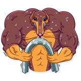 Reginald Pawson WhatsApp Sticker #14