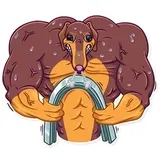 Sticker 14