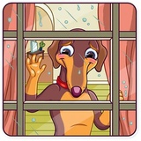 Reginald Pawson WhatsApp Sticker #18