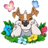 Sticker 35