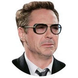 Robert Downey WhatsApp Sticker #19