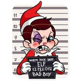 Elf on the Shelf WhatsApp Sticker #16