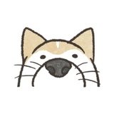 Shiba Inu Memes WhatsApp Sticker pack