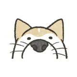 Shiba Inu Memes