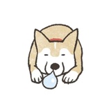 Shiba Inu Memes WhatsApp Sticker #10