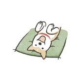 Shiba Inu Memes WhatsApp Sticker #12