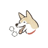 Shiba Inu Memes WhatsApp Sticker #18