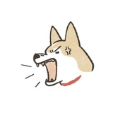 Shiba Inu Memes WhatsApp Sticker #20