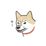 Shiba Inu Memes WhatsApp Sticker #21