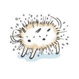 Shiba Inu Memes WhatsApp Sticker #23