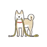 Shiba Inu Memes WhatsApp Sticker #26