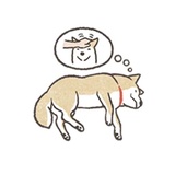 Shiba Inu Memes WhatsApp Sticker #27