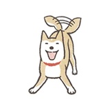Shiba Inu Memes WhatsApp Sticker #29